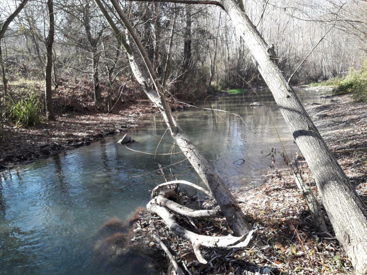 Alborada Daire Pinos Genil Dış mekan fotoğraf